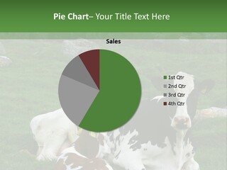 Dairy Agriculture Cute PowerPoint Template