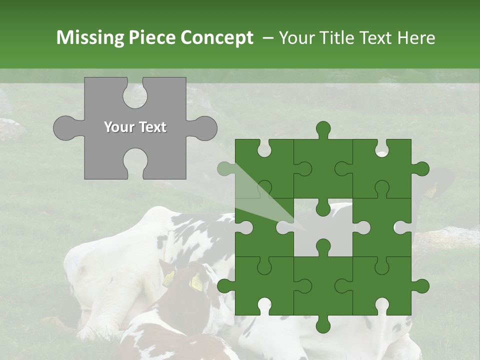Dairy Agriculture Cute PowerPoint Template