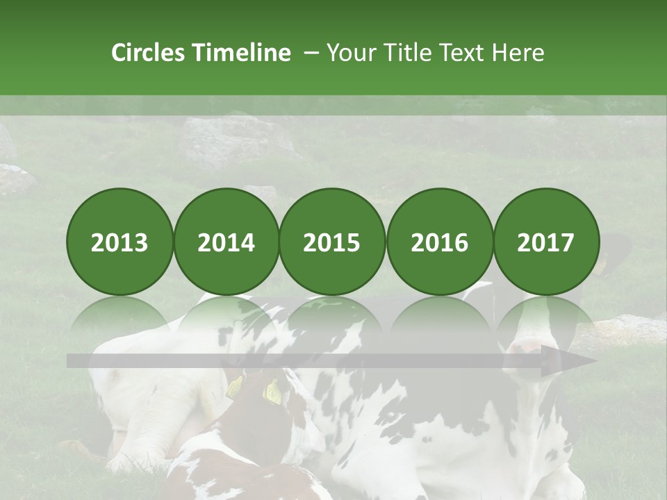 Dairy Agriculture Cute PowerPoint Template