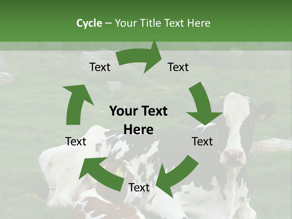 Dairy Agriculture Cute PowerPoint Template