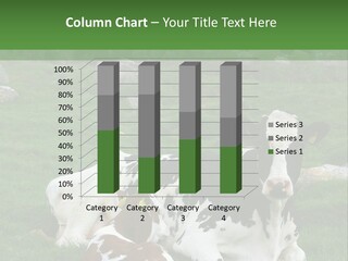 Dairy Agriculture Cute PowerPoint Template