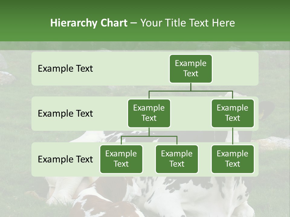Dairy Agriculture Cute PowerPoint Template