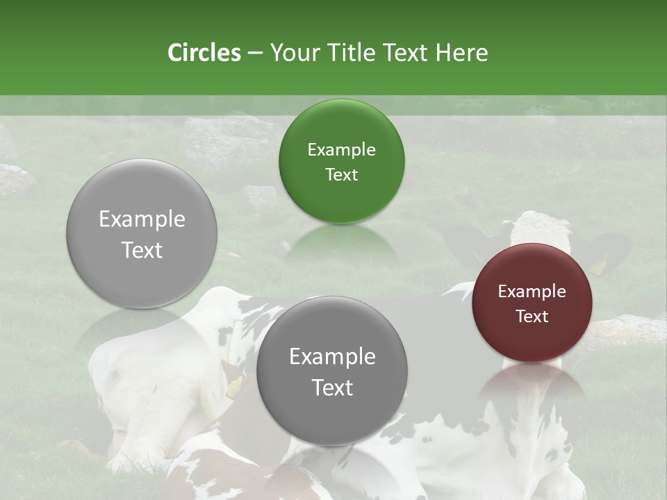 Dairy Agriculture Cute PowerPoint Template