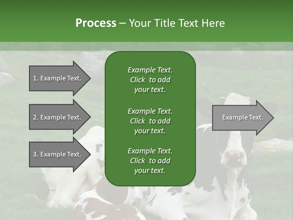 Dairy Agriculture Cute PowerPoint Template