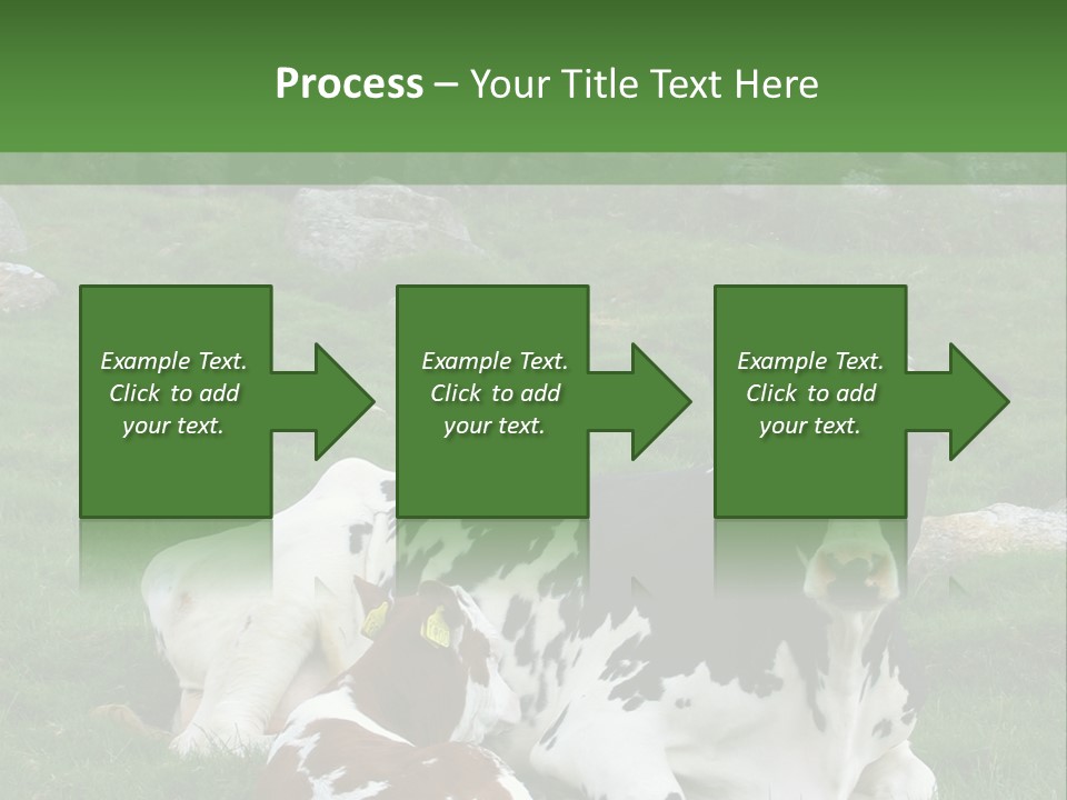 Dairy Agriculture Cute PowerPoint Template