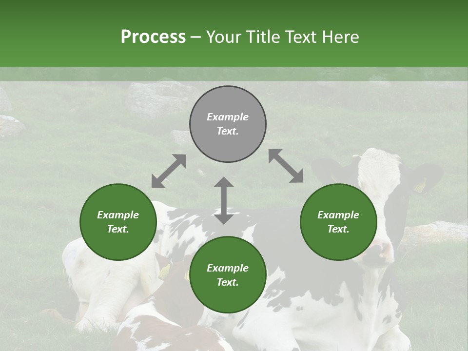 Dairy Agriculture Cute PowerPoint Template