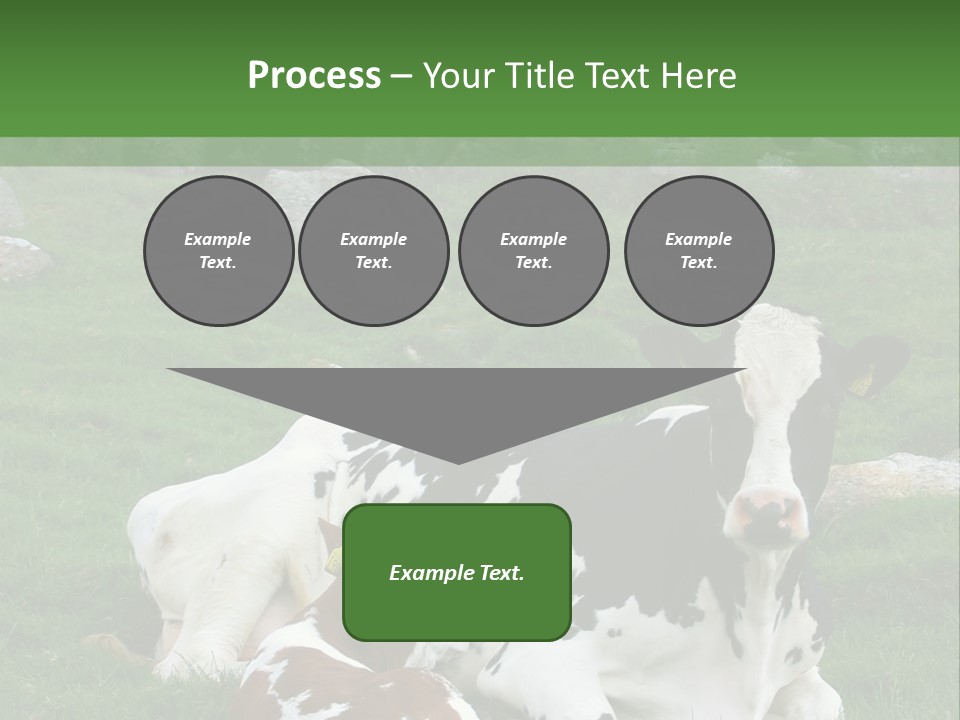 Dairy Agriculture Cute PowerPoint Template