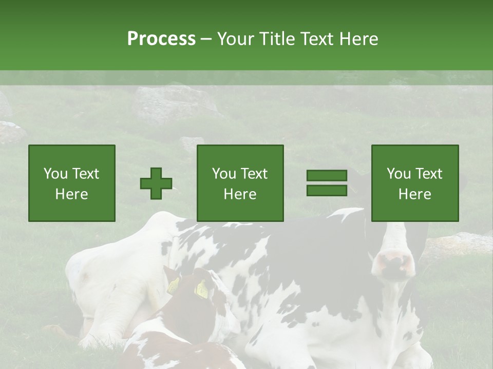 Dairy Agriculture Cute PowerPoint Template