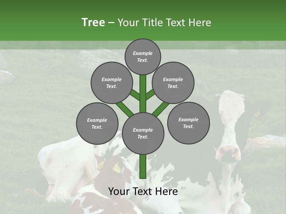 Dairy Agriculture Cute PowerPoint Template