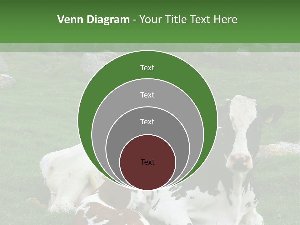 Dairy Agriculture Cute PowerPoint Template