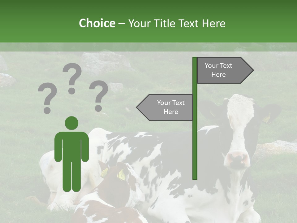 Dairy Agriculture Cute PowerPoint Template