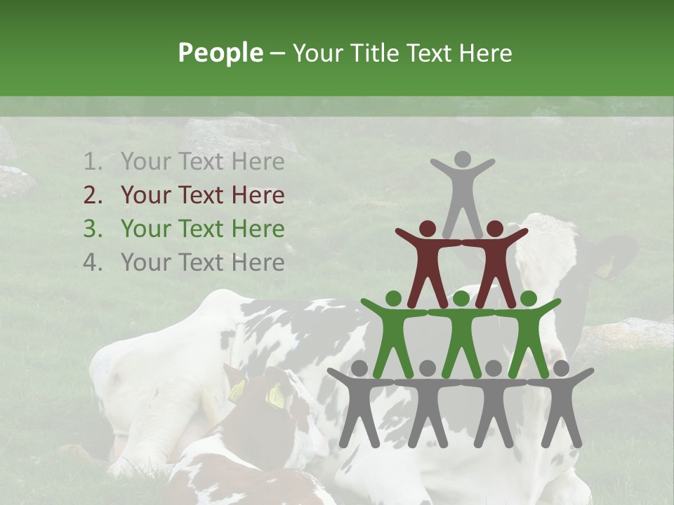 Dairy Agriculture Cute PowerPoint Template