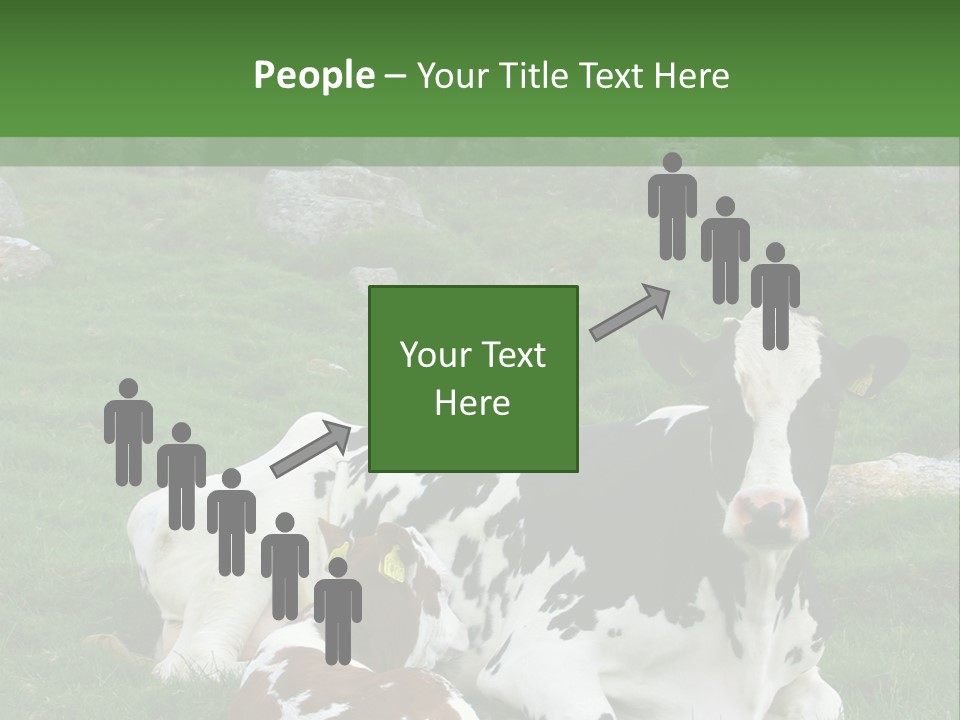Dairy Agriculture Cute PowerPoint Template