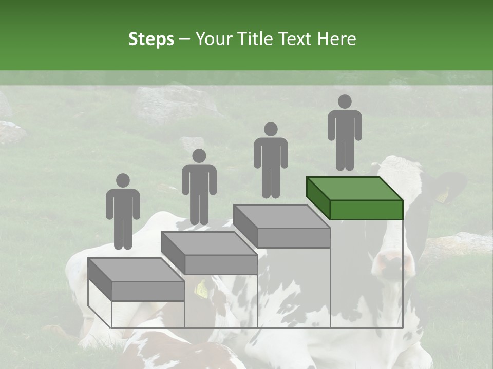 Dairy Agriculture Cute PowerPoint Template