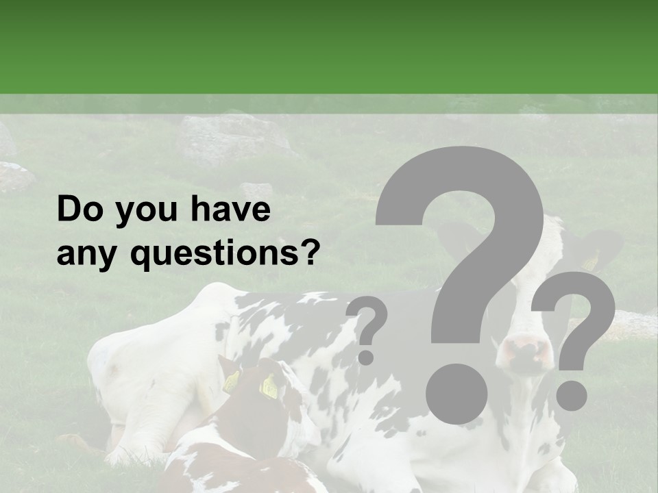 Dairy Agriculture Cute PowerPoint Template