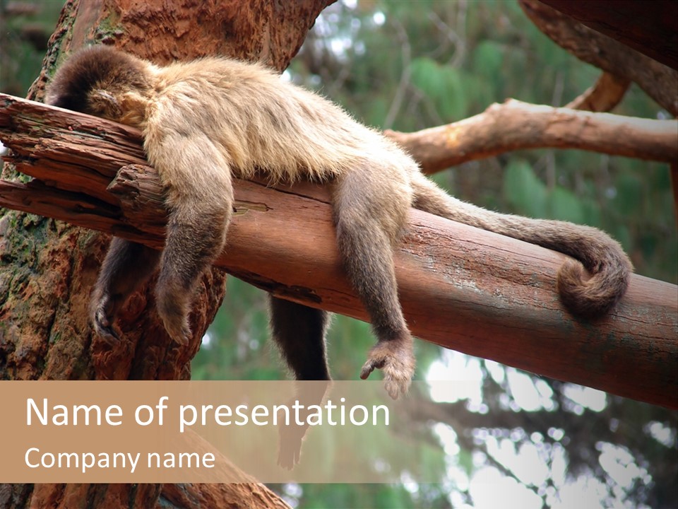 Asleep Wasted Jobless PowerPoint Template