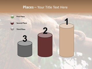 Asleep Wasted Jobless PowerPoint Template