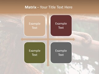 Asleep Wasted Jobless PowerPoint Template