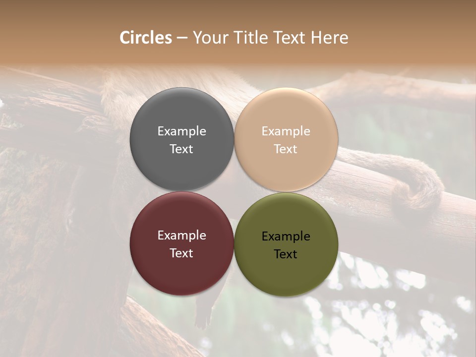 Asleep Wasted Jobless PowerPoint Template