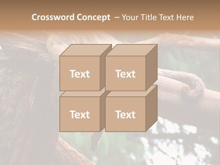 Asleep Wasted Jobless PowerPoint Template