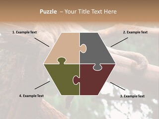 Asleep Wasted Jobless PowerPoint Template