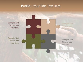 Asleep Wasted Jobless PowerPoint Template