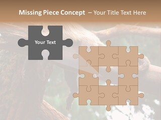 Asleep Wasted Jobless PowerPoint Template