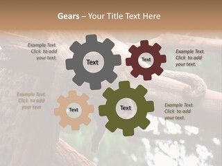 Asleep Wasted Jobless PowerPoint Template