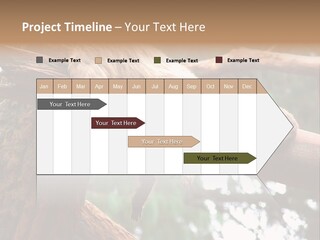 Asleep Wasted Jobless PowerPoint Template