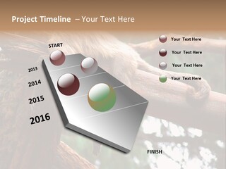 Asleep Wasted Jobless PowerPoint Template