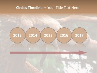 Asleep Wasted Jobless PowerPoint Template