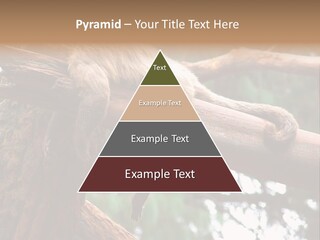 Asleep Wasted Jobless PowerPoint Template