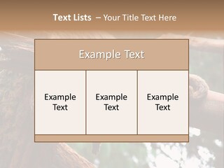 Asleep Wasted Jobless PowerPoint Template