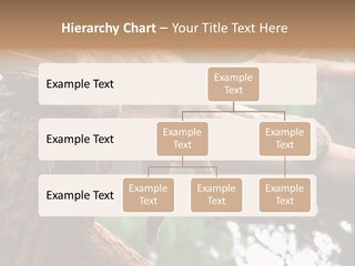 Asleep Wasted Jobless PowerPoint Template