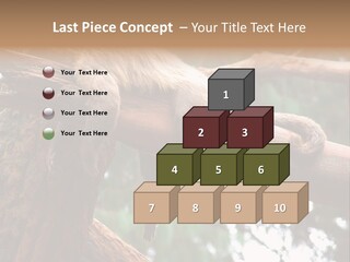 Asleep Wasted Jobless PowerPoint Template