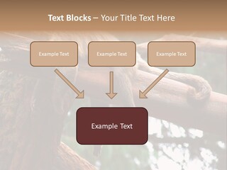 Asleep Wasted Jobless PowerPoint Template