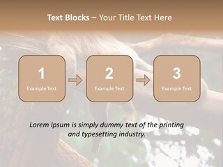 Asleep Wasted Jobless PowerPoint Template