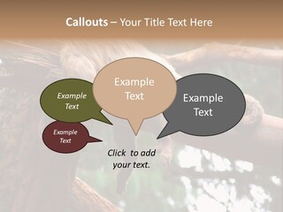 Asleep Wasted Jobless PowerPoint Template