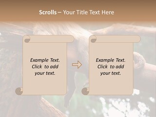Asleep Wasted Jobless PowerPoint Template