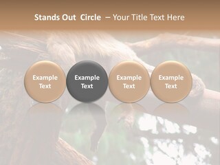 Asleep Wasted Jobless PowerPoint Template