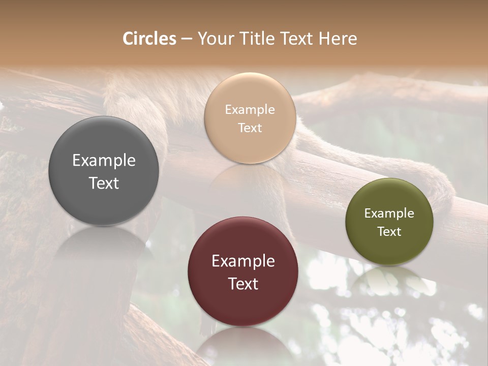 Asleep Wasted Jobless PowerPoint Template