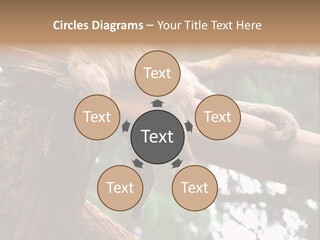 Asleep Wasted Jobless PowerPoint Template