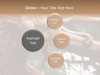 Asleep Wasted Jobless PowerPoint Template