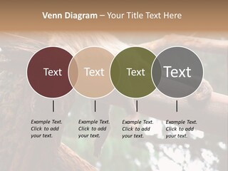 Asleep Wasted Jobless PowerPoint Template