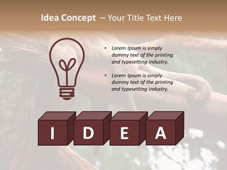 Asleep Wasted Jobless PowerPoint Template