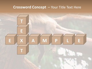 Asleep Wasted Jobless PowerPoint Template