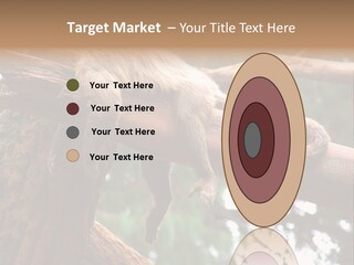 Asleep Wasted Jobless PowerPoint Template