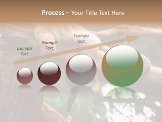 Asleep Wasted Jobless PowerPoint Template