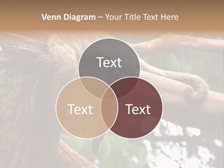 Asleep Wasted Jobless PowerPoint Template