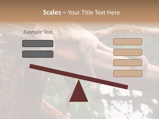 Asleep Wasted Jobless PowerPoint Template